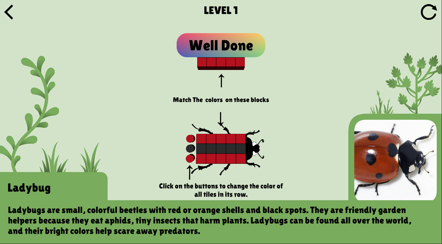 Colorful Beetles Game Level Start Screenshot.