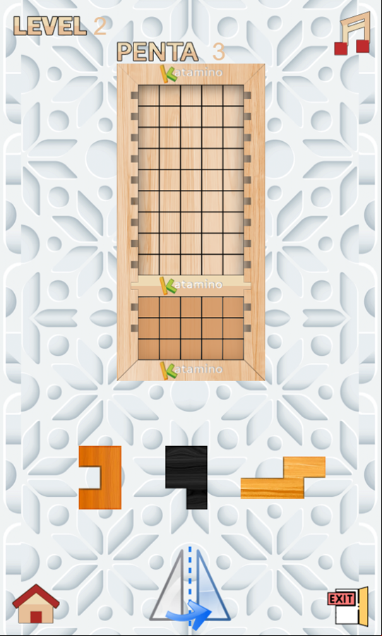 Katamino Game Next Level Screenshot.