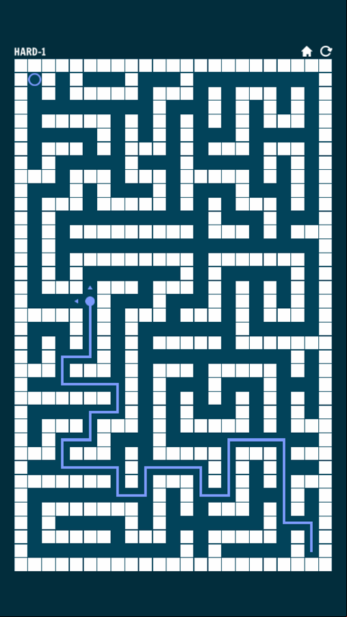 Maze Dungeon Game Hard Difficulty Screenshot.